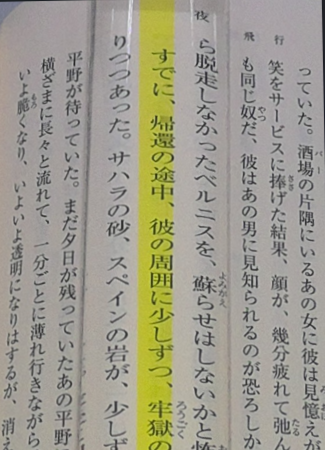 リーディングルーペ２
